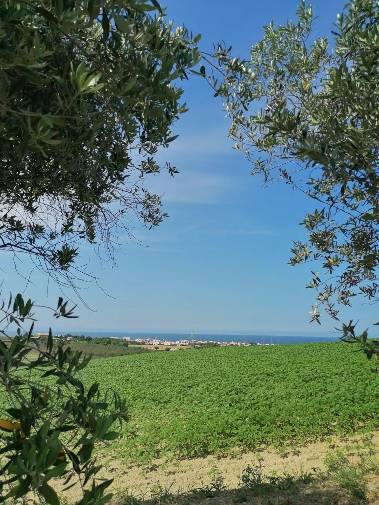 Casa Addis B&B Scapezzano Eksteriør bilde